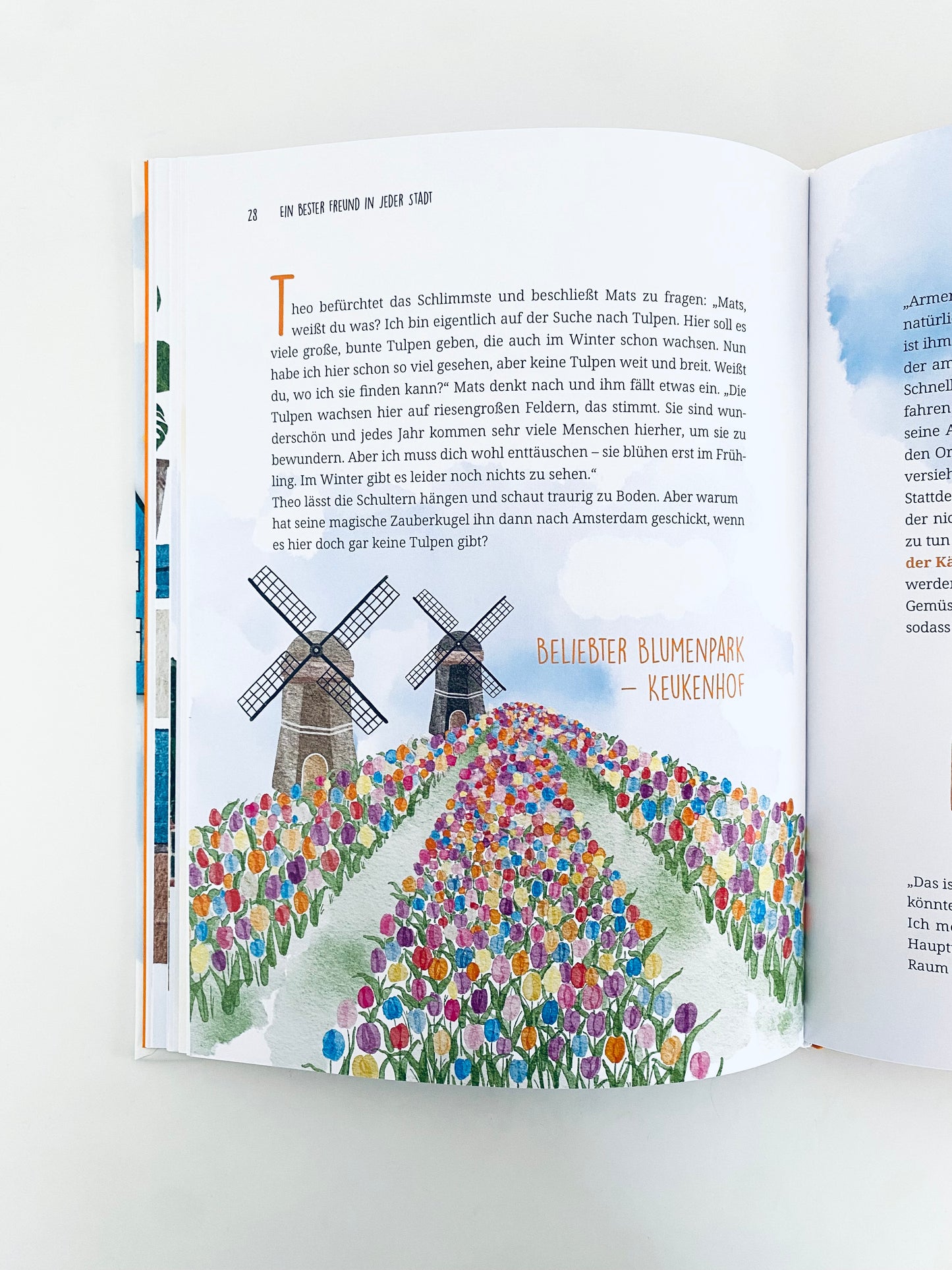 Ein bester Freund in jeder Stadt AMSTERDAM